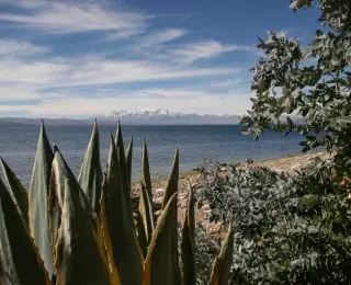 La Bolivie en 3 Semaines du Parc Amboro au Lac Titicaca : Bolivie