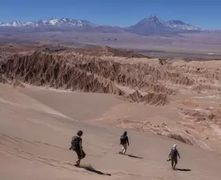 Désert et Salars : Chili