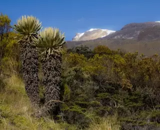Trek des Andes à la Sierra Nevada : Colombie