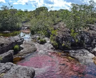 Extension Caño Cristales