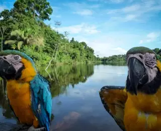 Aventures en Famille de l'Amazonie aux Caraïbes : Colombie