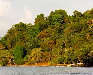 Extension dans le Parc National Corcovado