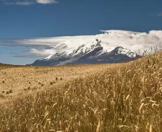 Incontournables d'Equateur : Équateur