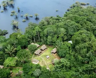 Extension en Amazonie