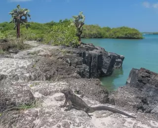 Les Galapagos, d'île en île