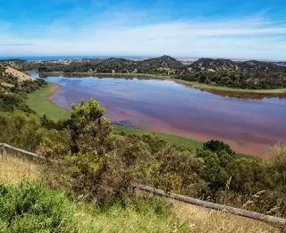 Magie du Sud Australien d'Adélaïde à Melbourne : Australie