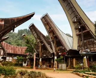 Découverte du Pays Toraja (Sulawesi)