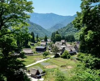 Alpes Japonaises et Mont Fuji : Japon