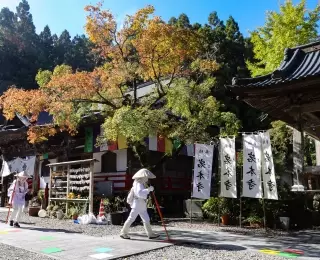 Le Pèlerinage des 88 Temples de Shikoku : Japon