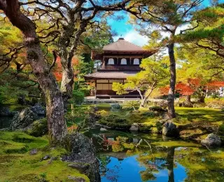 Immersion au Japon en 16 Jours : Japon