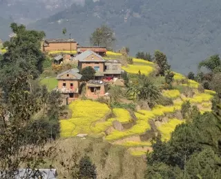 Sentiers du Népal : Népal