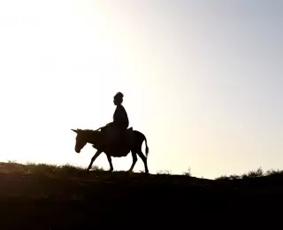 Immersion Ouzbek de Tachkent à Samarcande : Ouzbékistan
