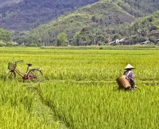 De la Baie d'Halong à Angkor : Vietnam