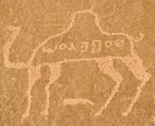 Découverte des Incontournables de Jordanie : Jordanie
