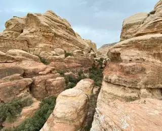 Voyage 100% Nature en Jordanie : Jordanie