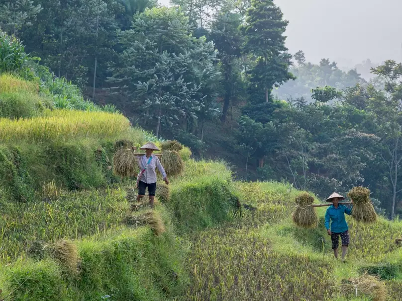 Actualité Tirawa : [Vidéoconférence] Vietnam, un pays authentique au-delà des sentiers battus