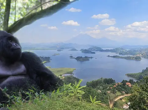 Actualité Tirawa : [Replay Vidéoconférence] Destination Ouganda : au-delà des gorilles