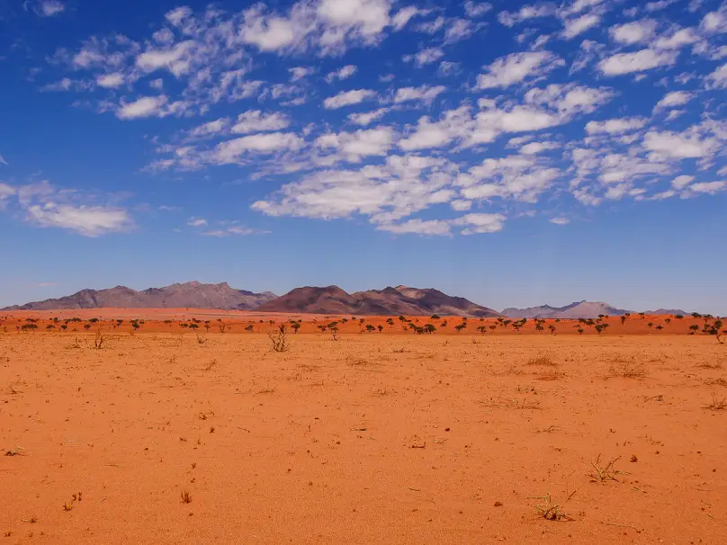 Actualité Tirawa : [Replay Vidéoconférence] Namibie : terre de contrastes, destination d’exception