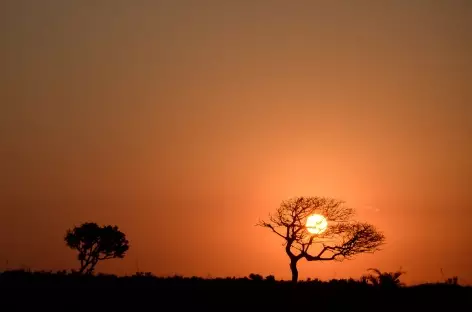 Coucher de soleil sur la brousse d'Afrique du Sud