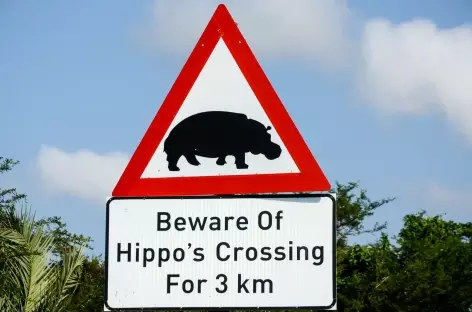 Hippo dans Saint Lucia - Afrique du Sud