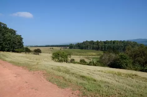 Réserve de Mliwane - Swaziland