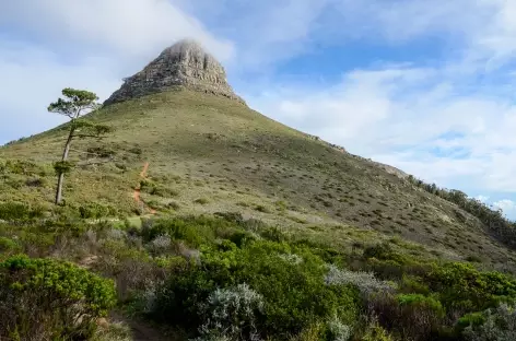 Montée à Lion's Head, sur les hauteurs du Cap - Afrique du Sud