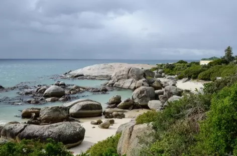 Plage de Boulders, habitat des manchots du Cap - Afrique du Sud