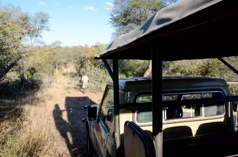 Safari en 4x4 ouvert - Afrique du sud