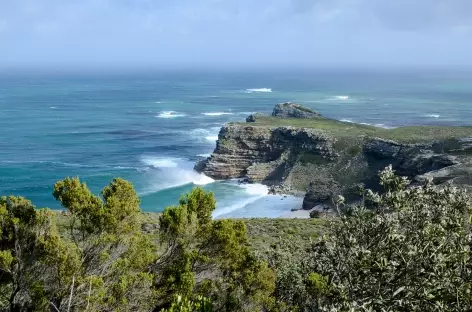 Côte sauvage, péninsule du Cap de Bonne Espérance - Afrique du Sud