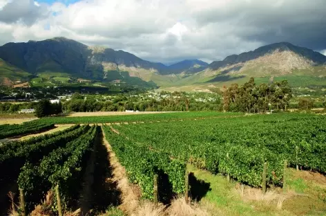 Vignobles de Franschhoek (Afrique du Sud) - 
