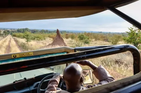 Safari en 4x4 ouvert - Afrique du Sud
