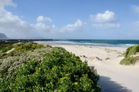 Côte sauvage entre Hermanus et Cape Town - Afrique du Sud