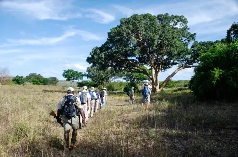 Safari à pied dans le parc Kruger - Afrique du Sud
