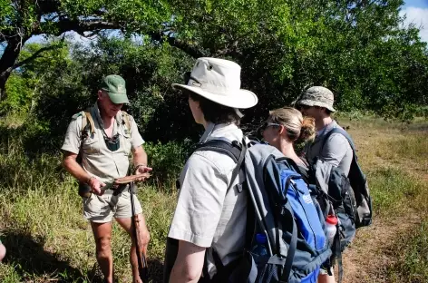 Safari à pied dans la réserve d'Ebandla - Afrique du Sud