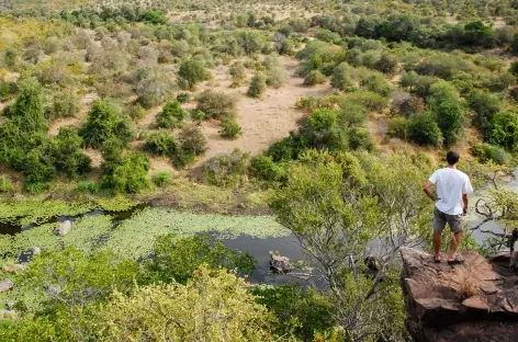 Safari à pied dans la réserve d'Ebandla - Afrique du Sud