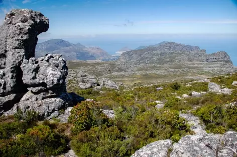Randonnée sur le plateau de Table Mountain - Afrique du Sud - 