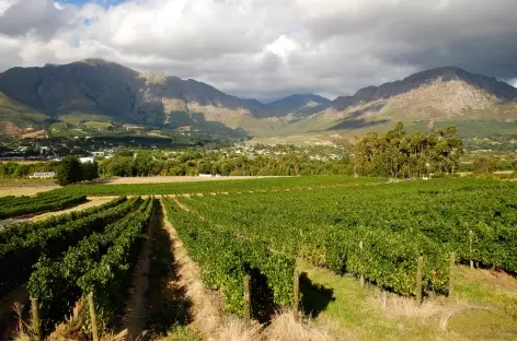 Vignobles de Franshhoek, région des vins - Afrique du Sud