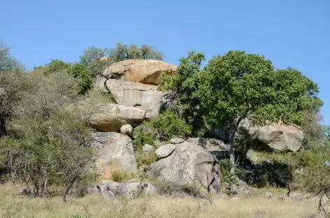 Kopje granitique, parc Kruger - Afrique du Sud