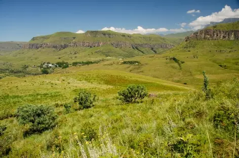 Montagnes du Drakensberg - Afrique du Sud