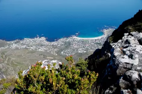 Vue plongeante depuis Table Mountain - Afrique du Sud