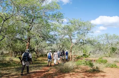 Safari à pied dans la réserve de Hluhluwe-iMfolozi - Afrique du Sud - 