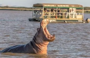 Croisière Hippopotames - Sant Lucia - 