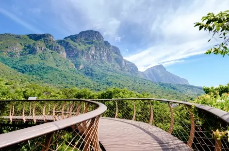 Passerelle Boomslang dans le jardin botanique de Kirstenbosch au Cap  - 