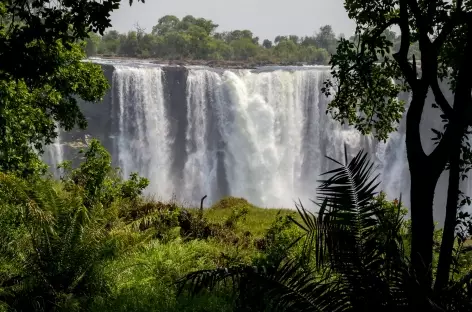 Les Chutes Victoria - Zimbabwe