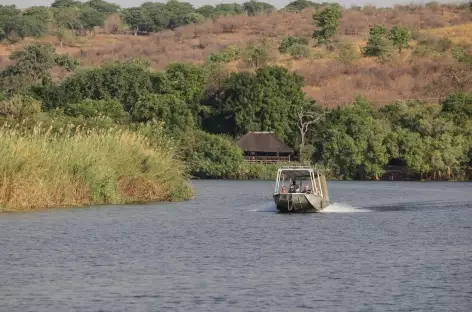 Navigation sur la rivière Chobe - Botswana