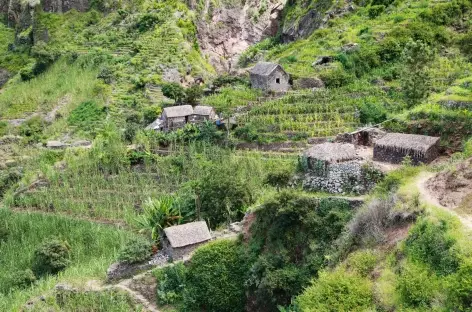 Randonnée dans la vallée de Chã de Pedras, Santo Antão - Cap-Vert