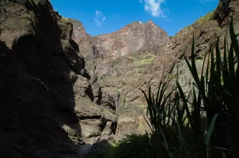 Randonnée dans la vallée d'Alto Mira, Santo Antão - Cap-Vert