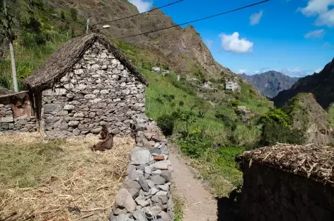 Randonnée dans la vallée de Chã de Pedras, Santo Antão - Cap-Vert