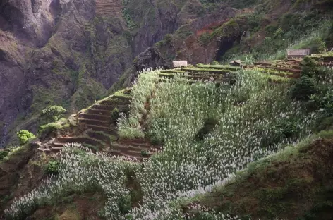 Vallée de Ribeira da Torre, Santo Antão - Cap-Vert