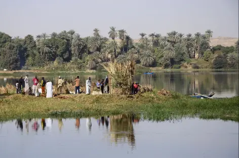 Sur les berges fertiles du Nil, Egypte - 